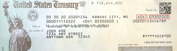 Treasury check sample